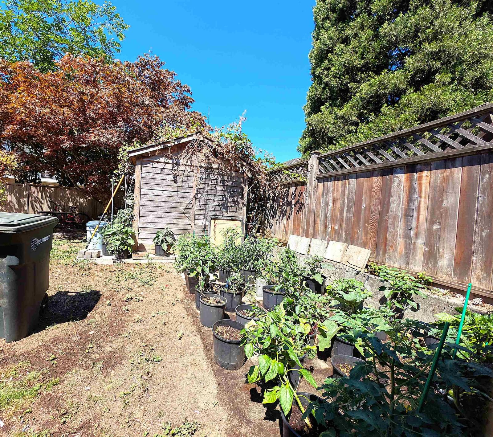 Listing Image 4