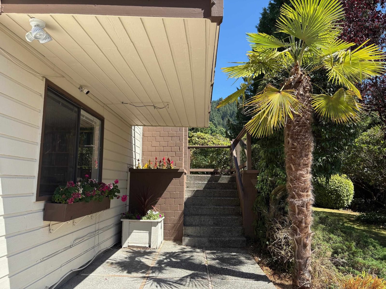 Listing Image 34