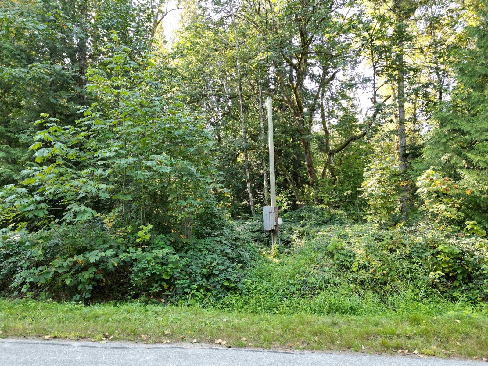 Listing Image 16