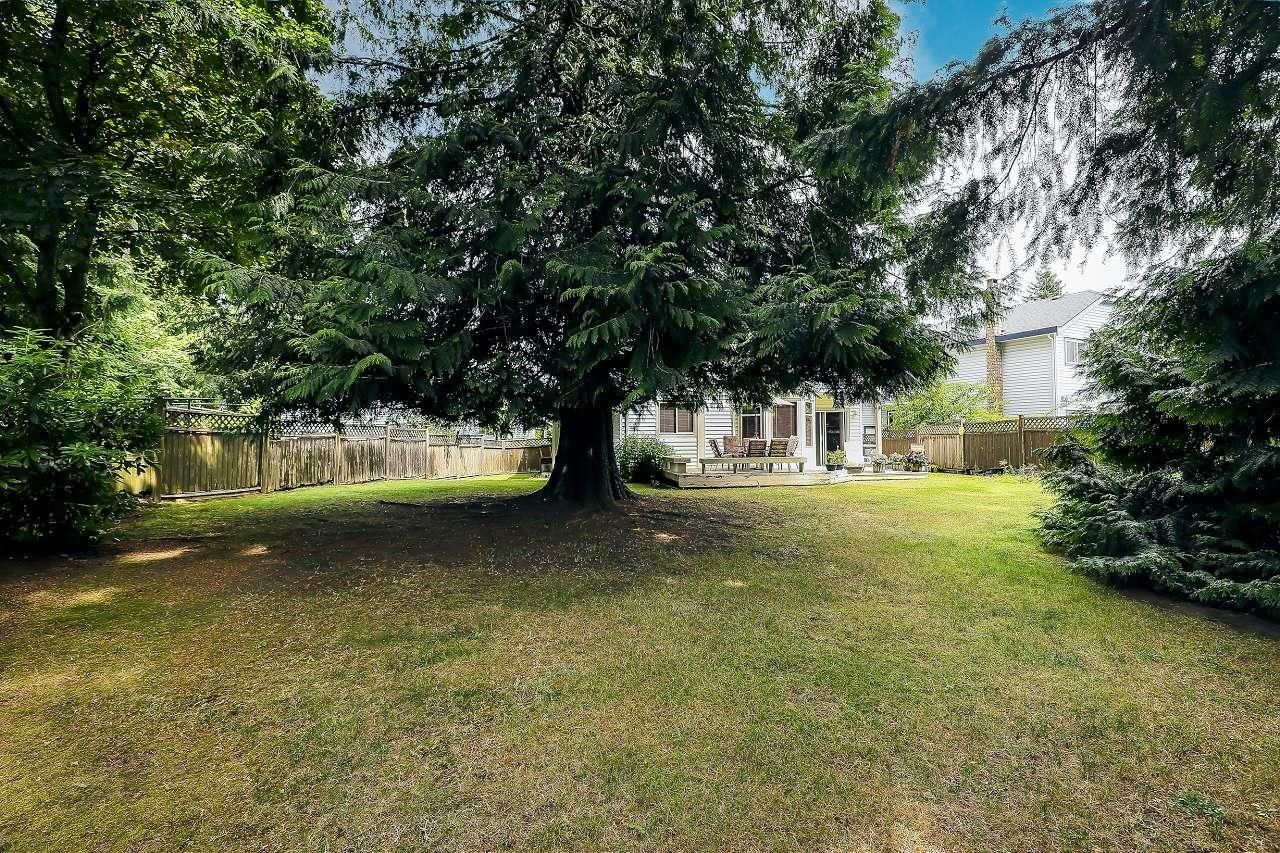 Listing Image 30