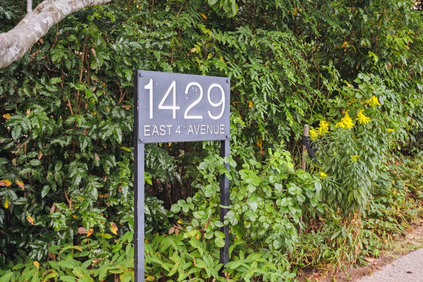 Listing Image 20