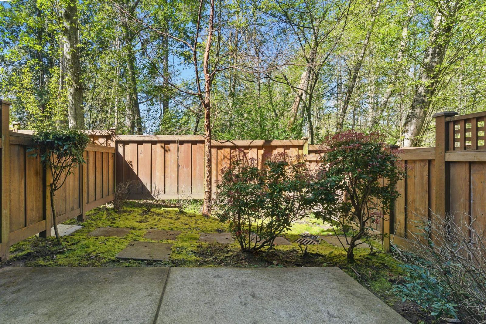 Listing Image 29