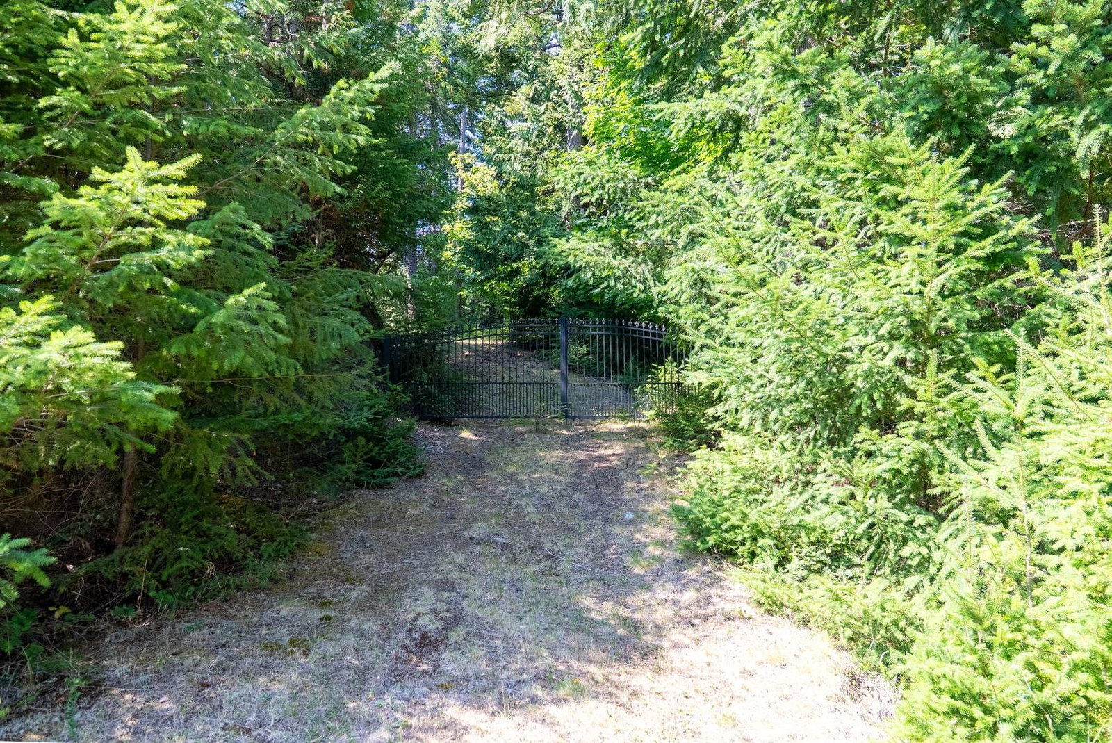 Listing Image 39