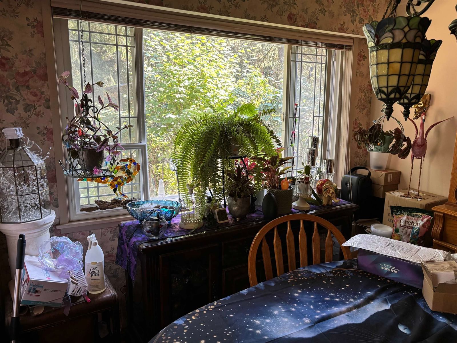Listing Image 5