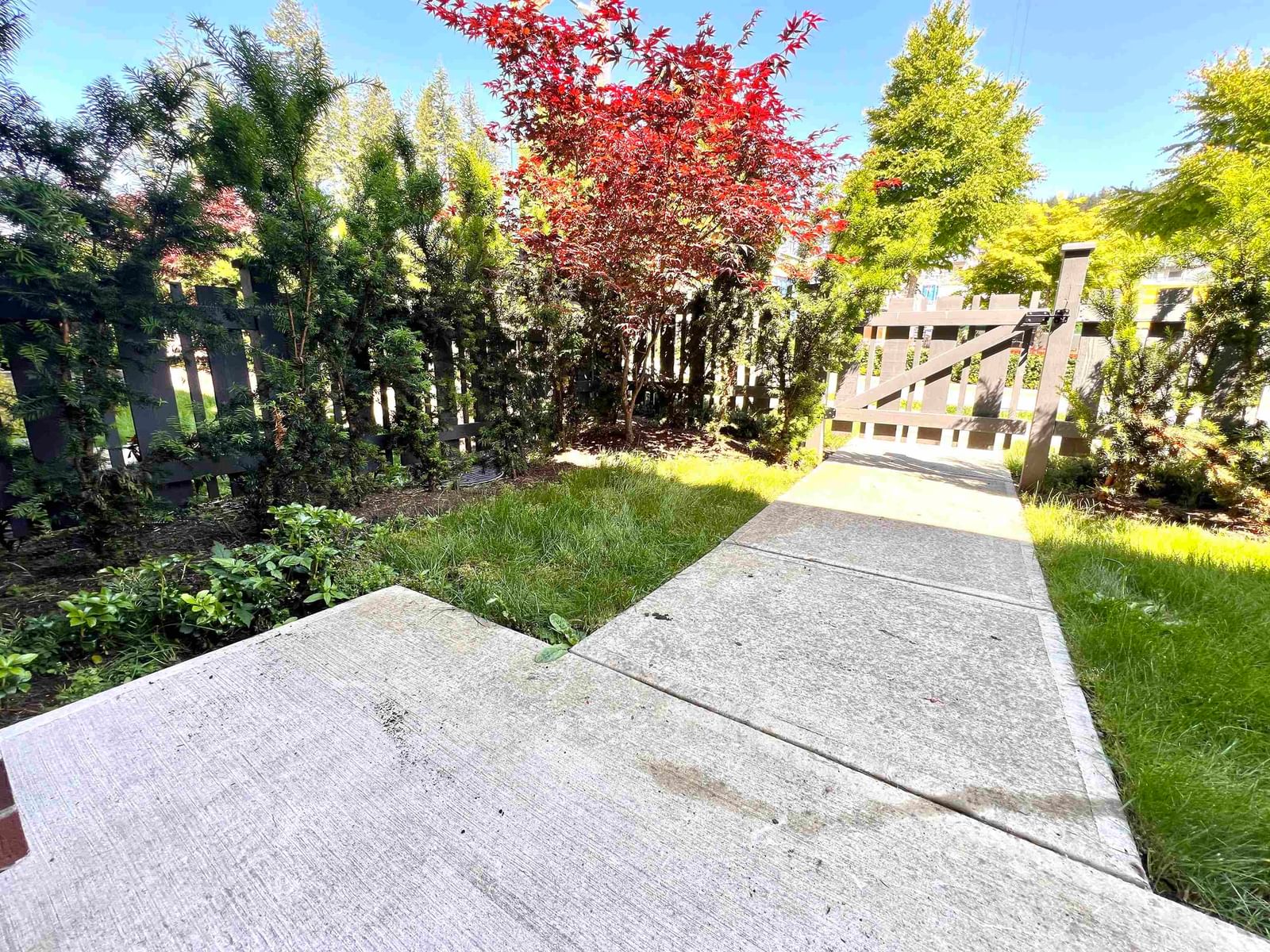 Listing Image 28