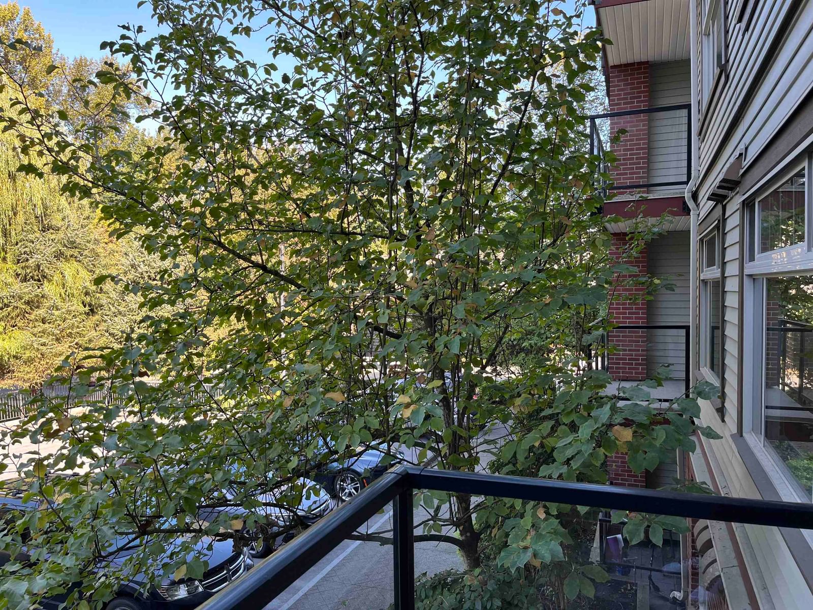 Listing Image 16