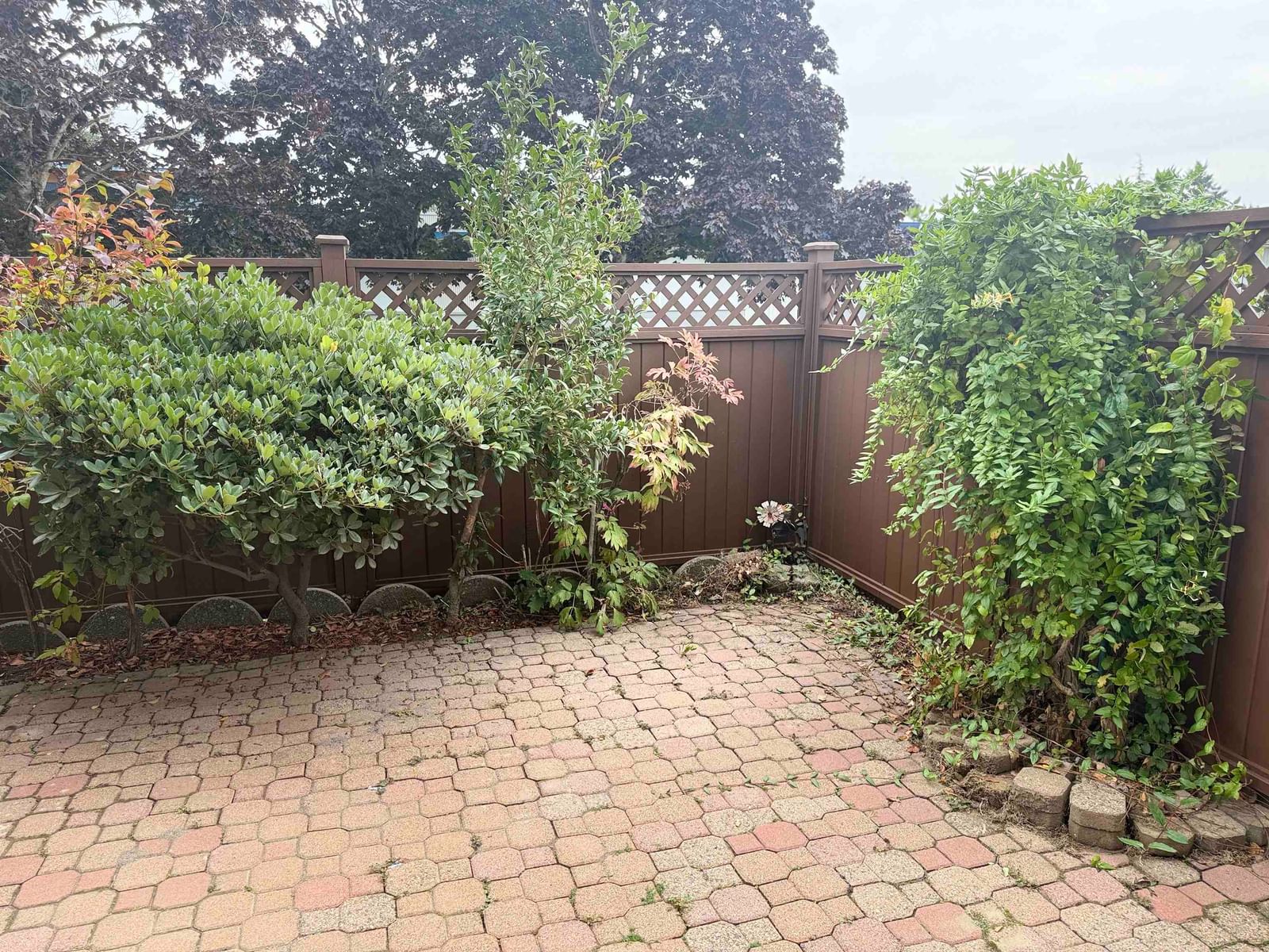Listing Image 22