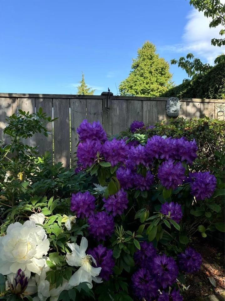 Listing Image 30