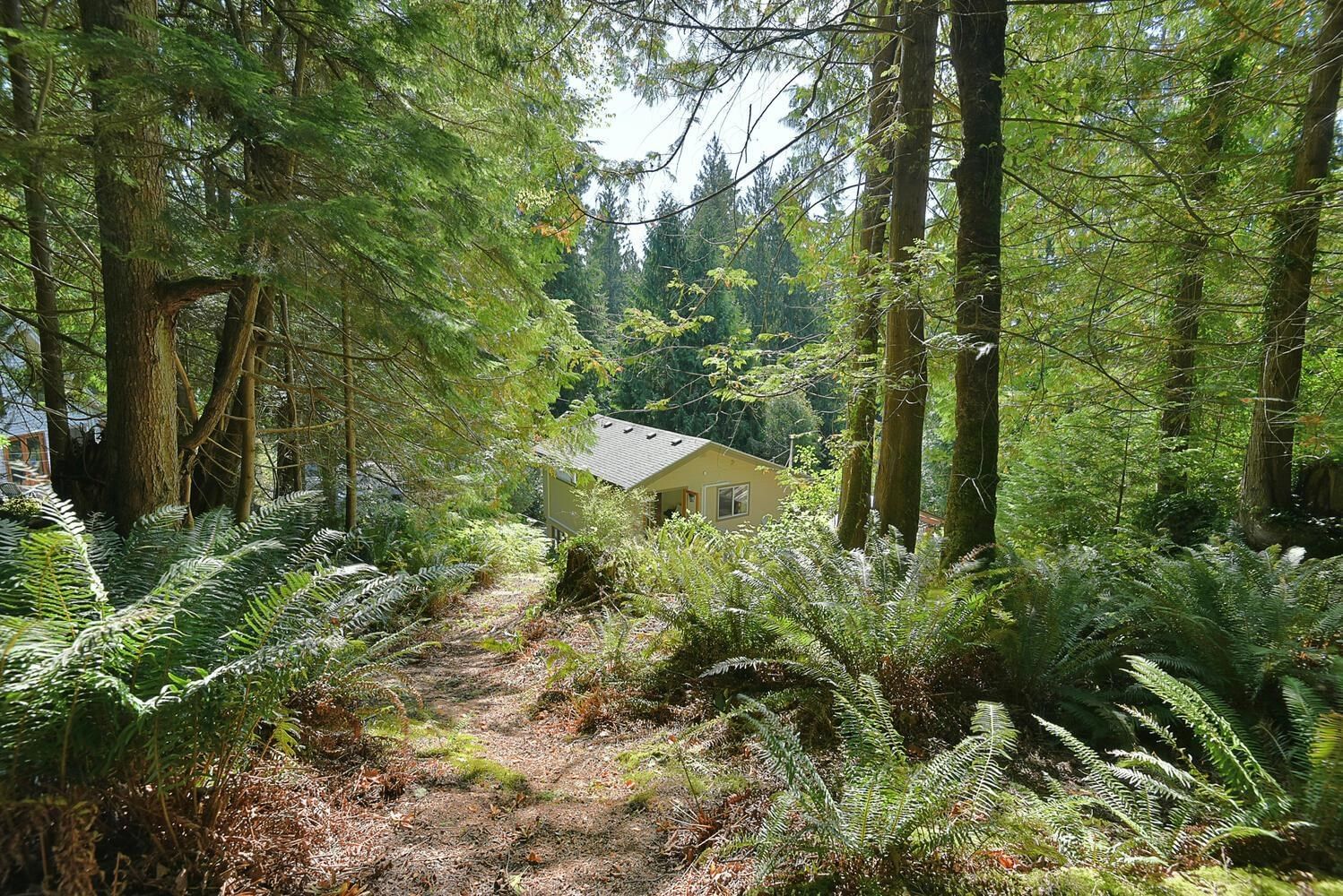 Listing Image 25