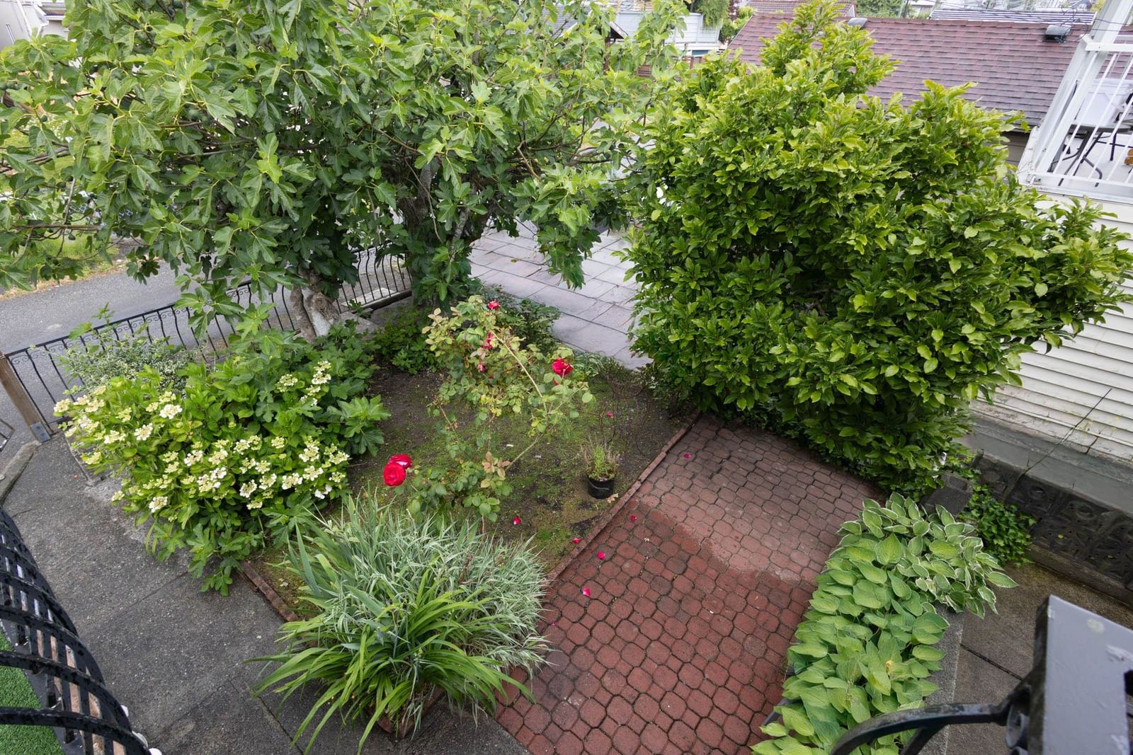 Listing Image 28