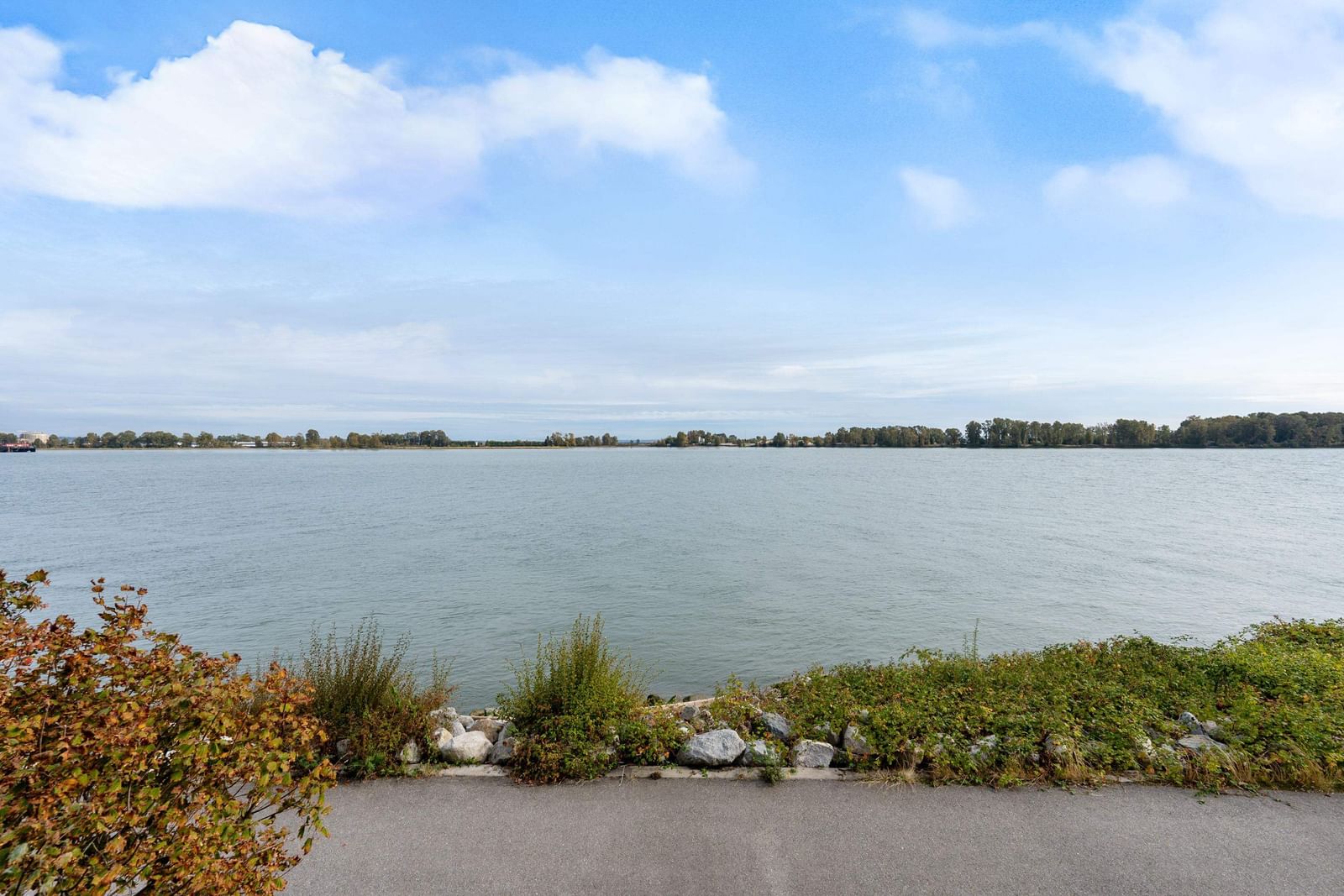 Listing Image 28