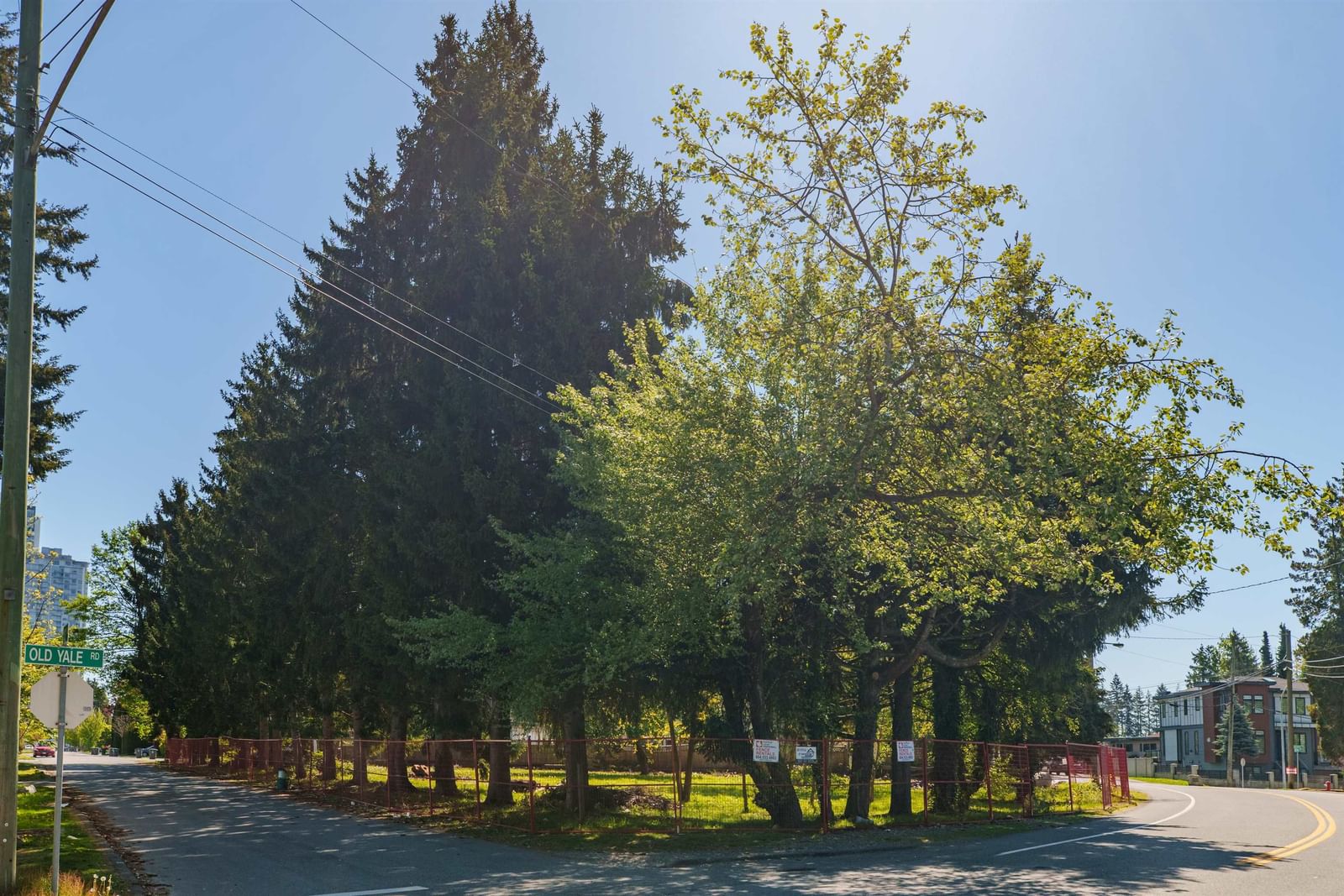 Listing Image 12