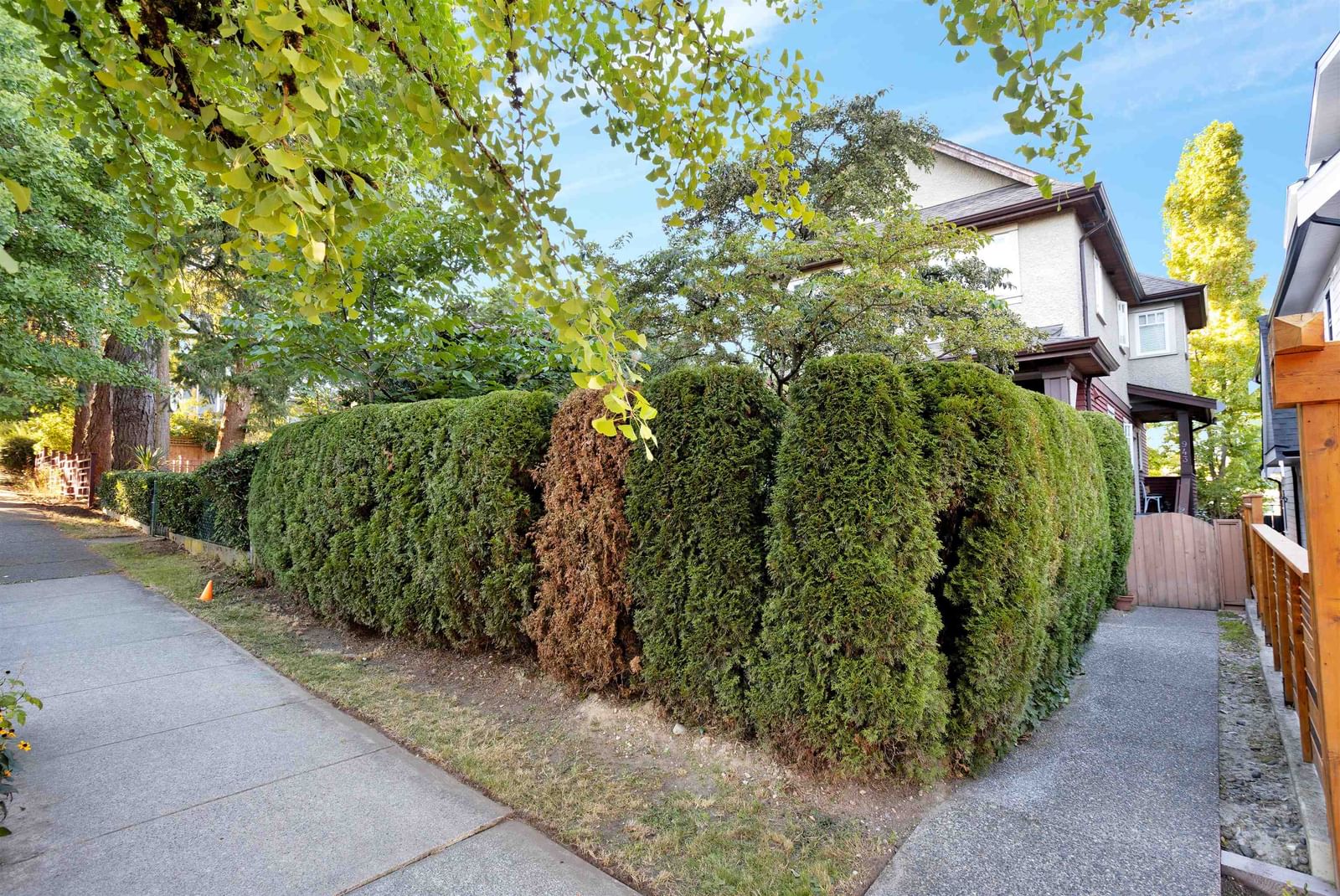 Listing Image 5