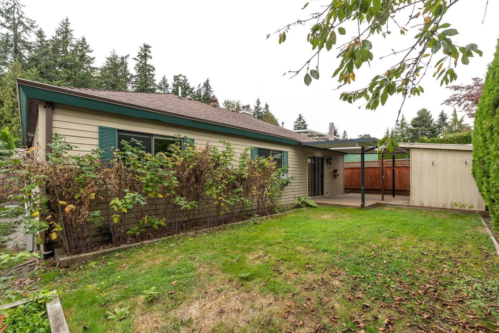 Listing Image 29