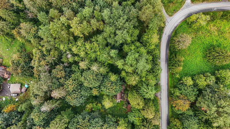 10941 249 Street, Maple Ridge, V2W 1Z7 | Image 2