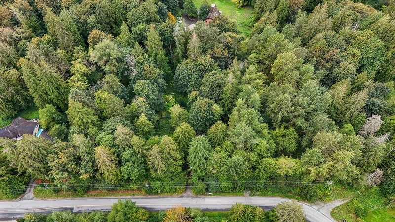 10941 249 Street, Maple Ridge, V2W 1Z7 | Image 3