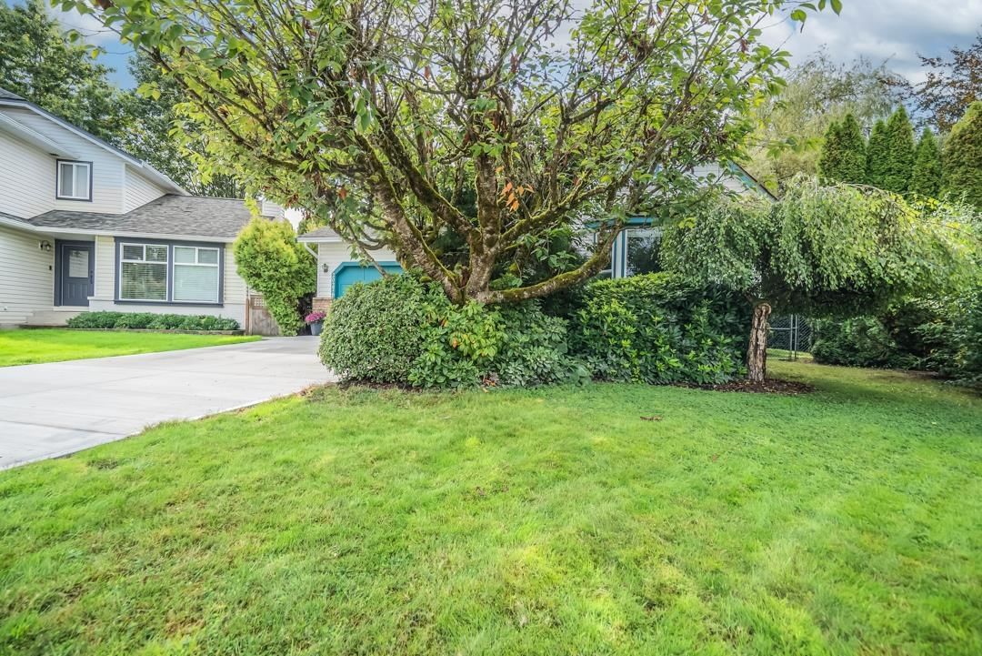 Listing Image 37