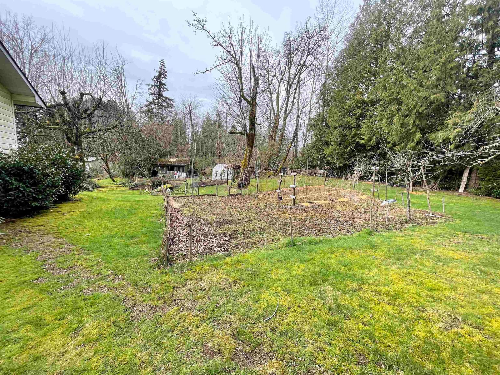Listing Image 24