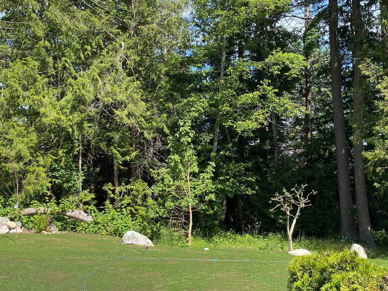 Listing Image 39