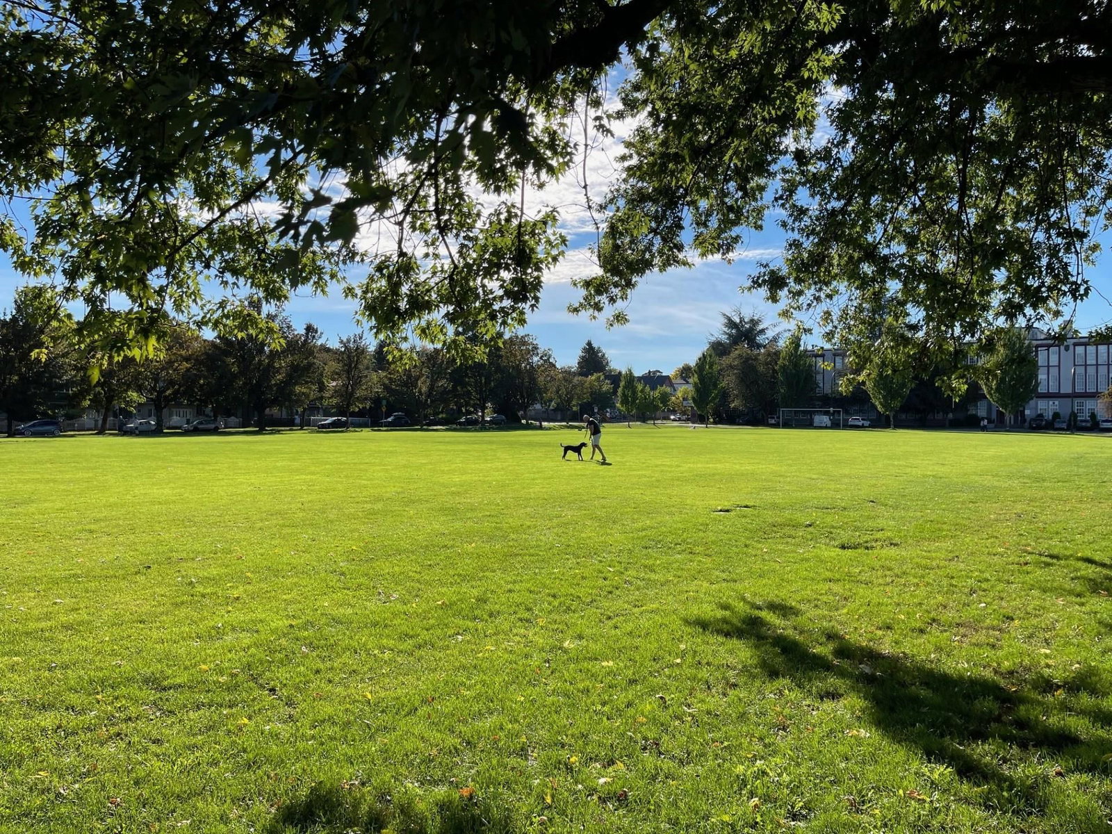 Listing Image 37