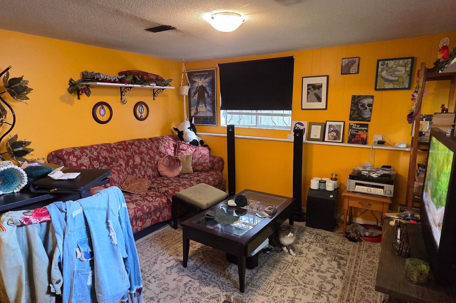 Listing Image 13