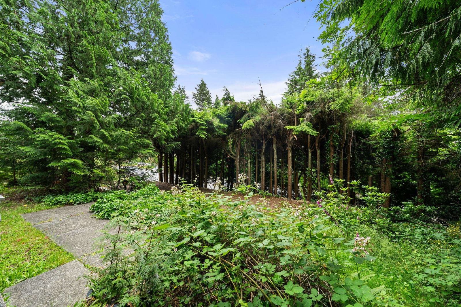 Listing Image 5
