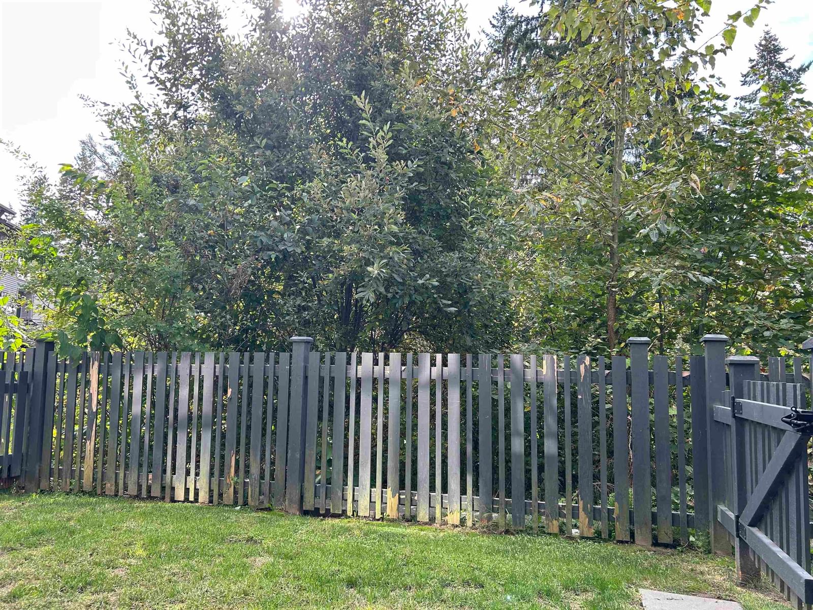 Listing Image 27