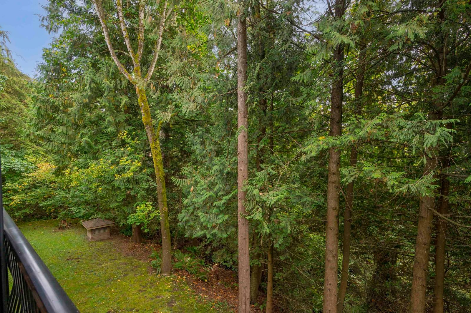 Listing Image 25