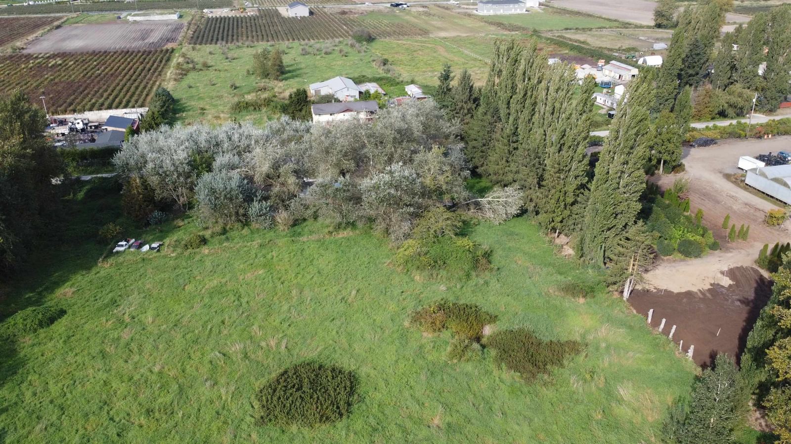Listing Image 5