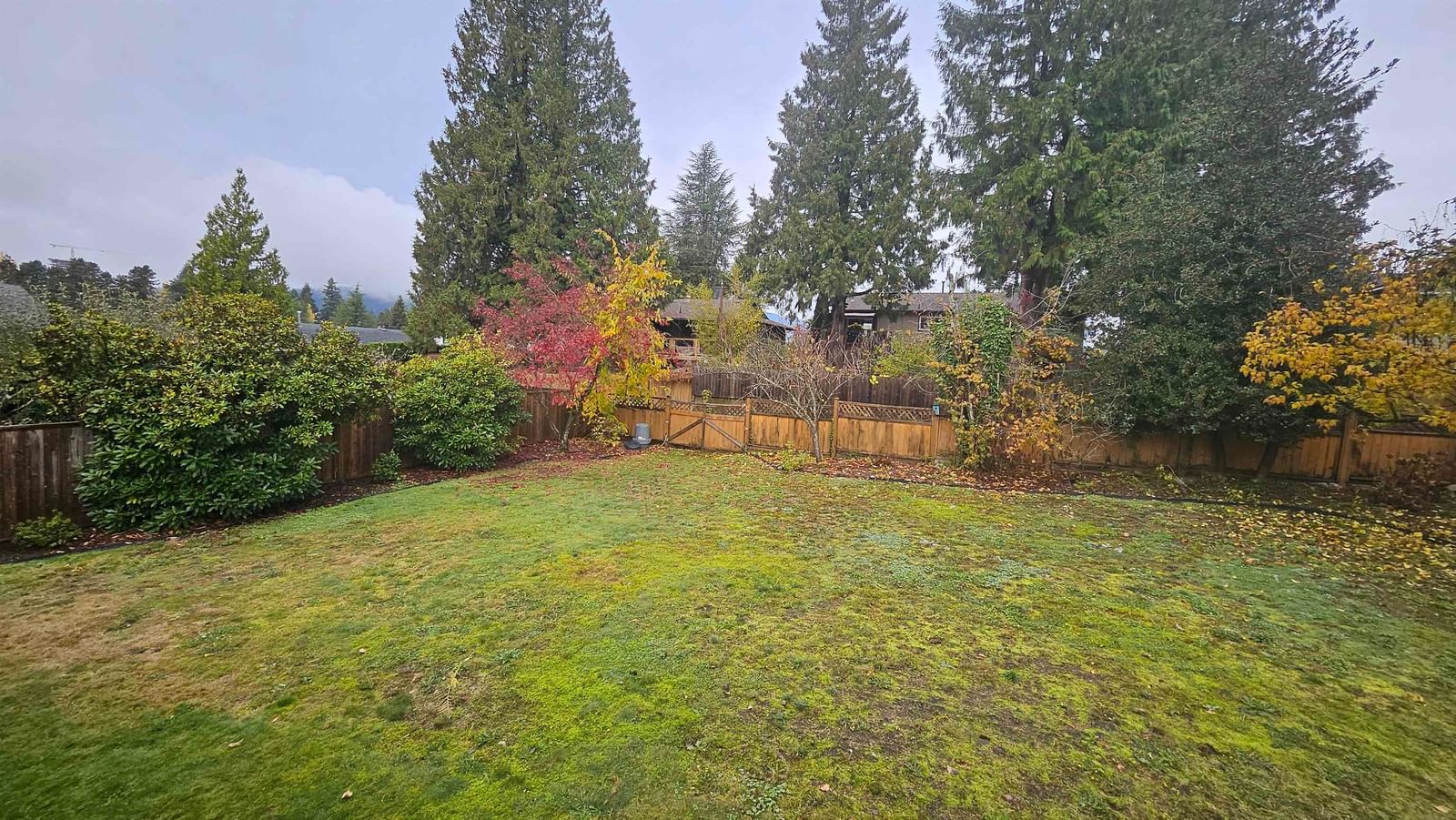 Listing Image 33