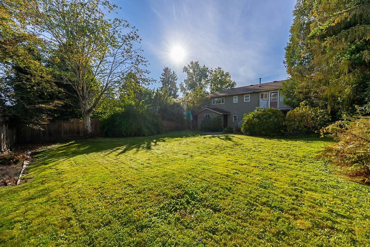 Listing Image 35