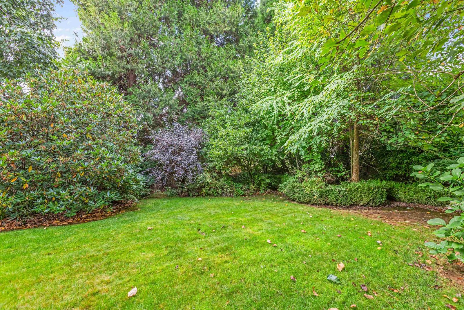 Listing Image 34