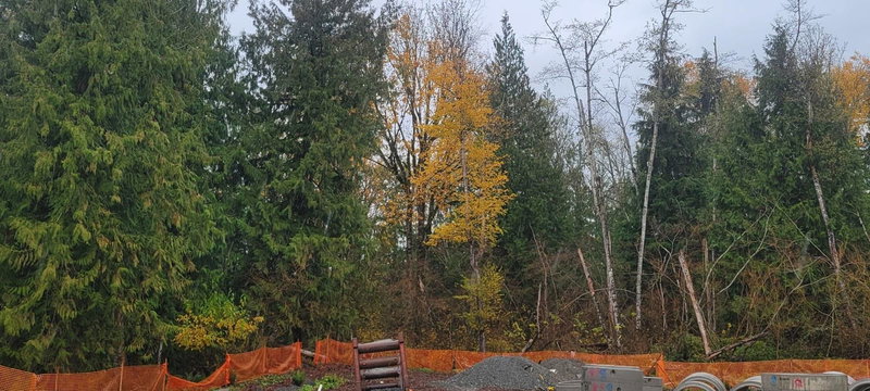 LT. 583 Stephen Leacock Drive, Abbotsford, V0V 0V0 | Image 2