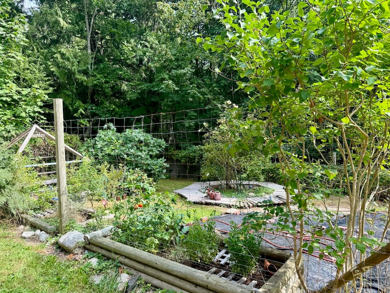 Listing Image 16
