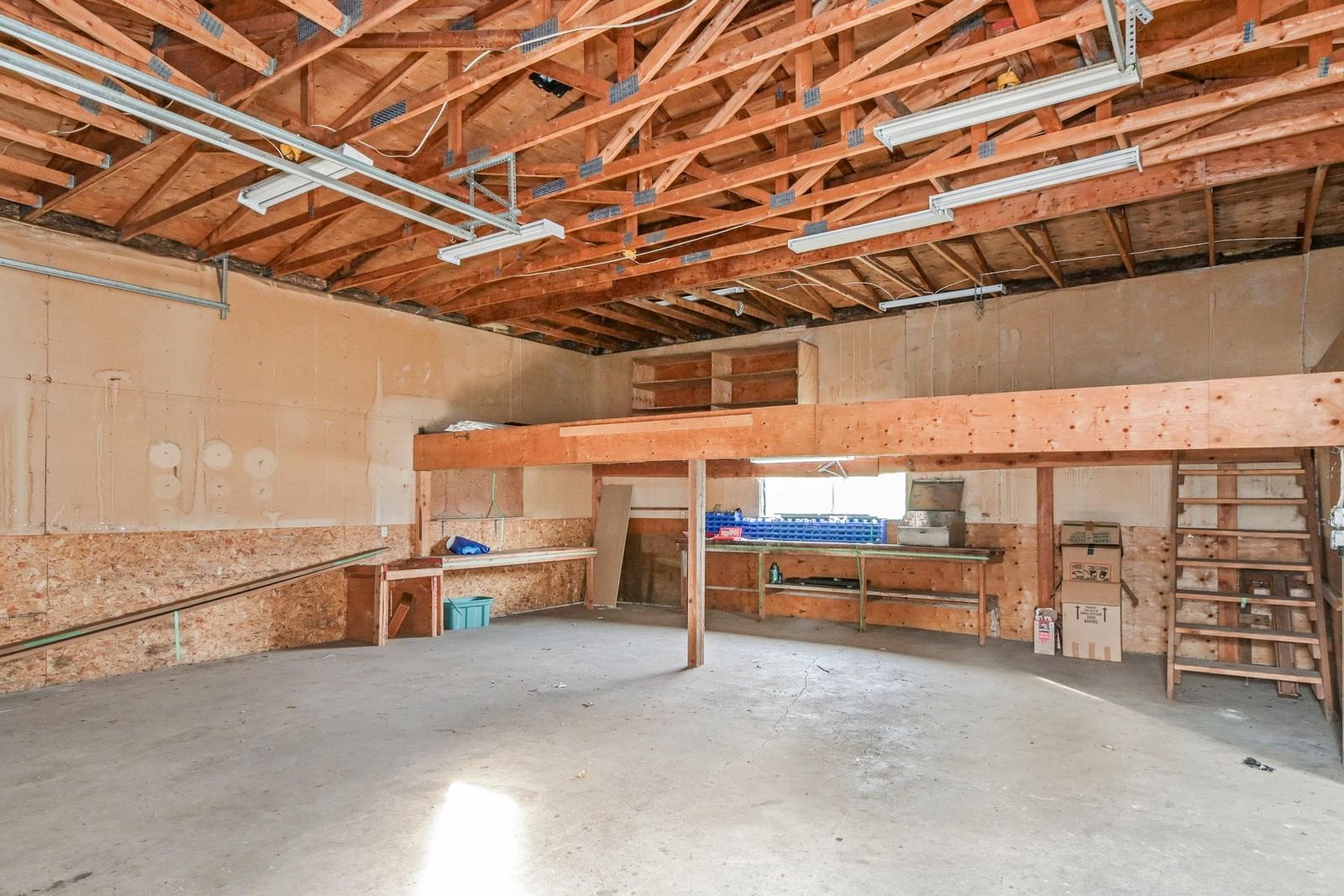 Listing Image 20