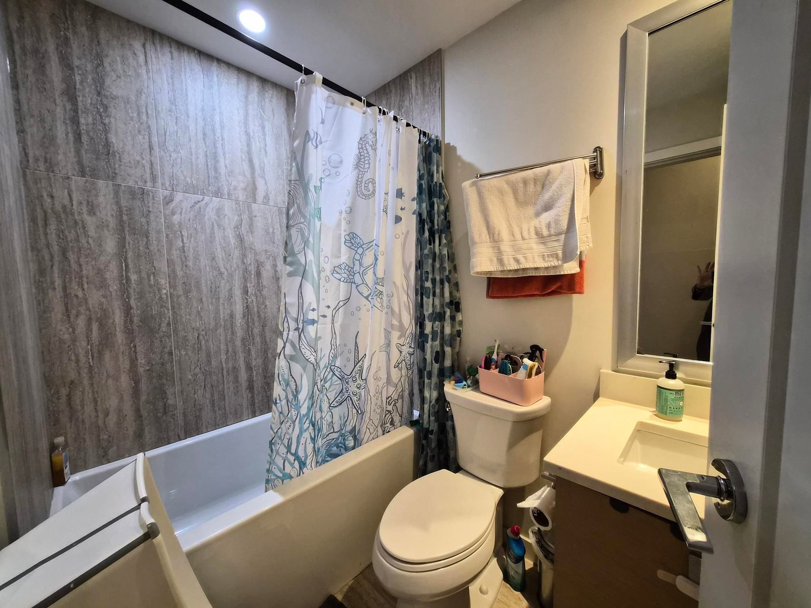 Listing Image 13