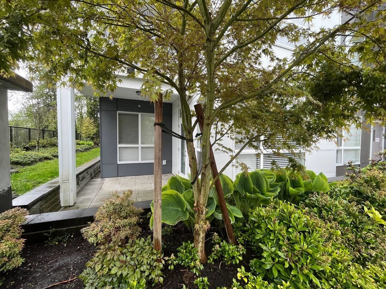 Listing Image 17