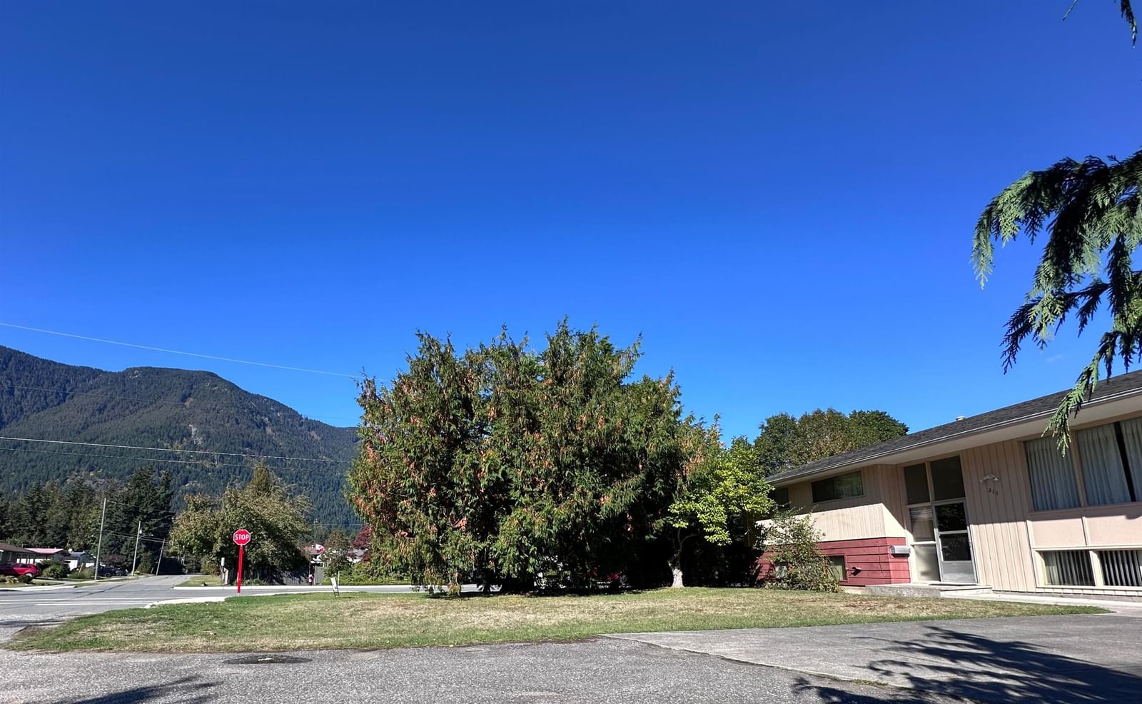 Listing Image 40