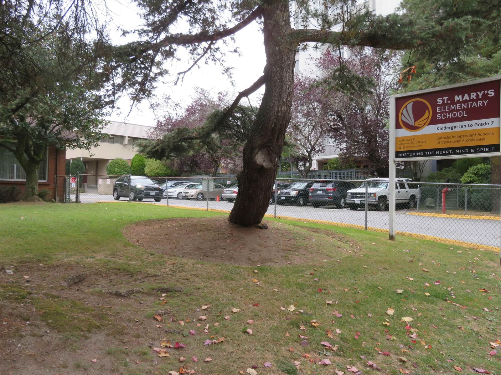 Listing Image 37
