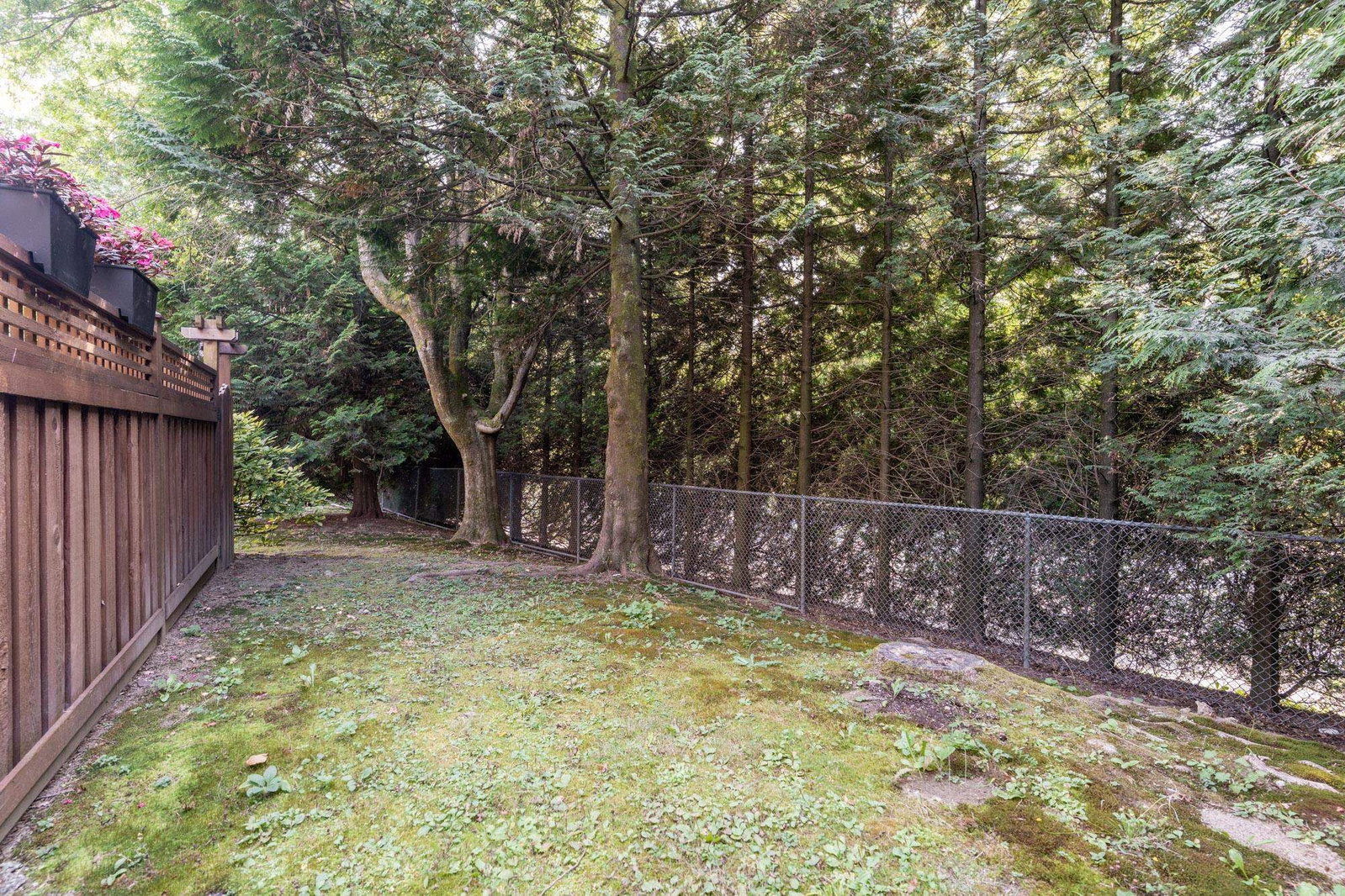 Listing Image 36