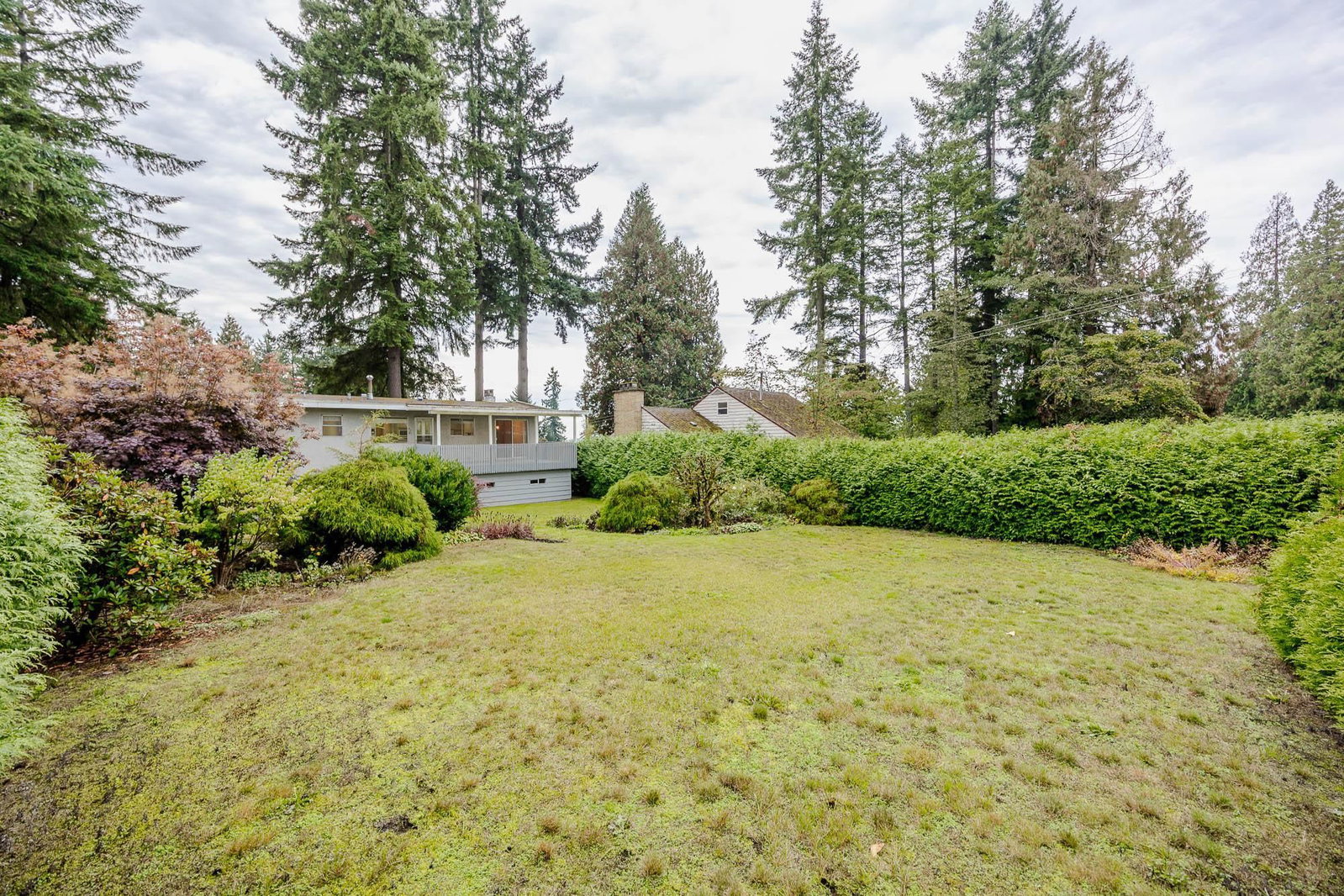 Listing Image 32