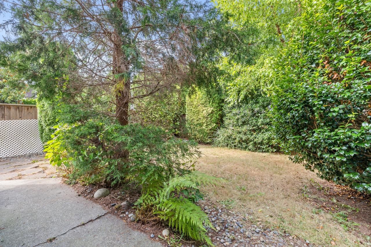 Listing Image 36