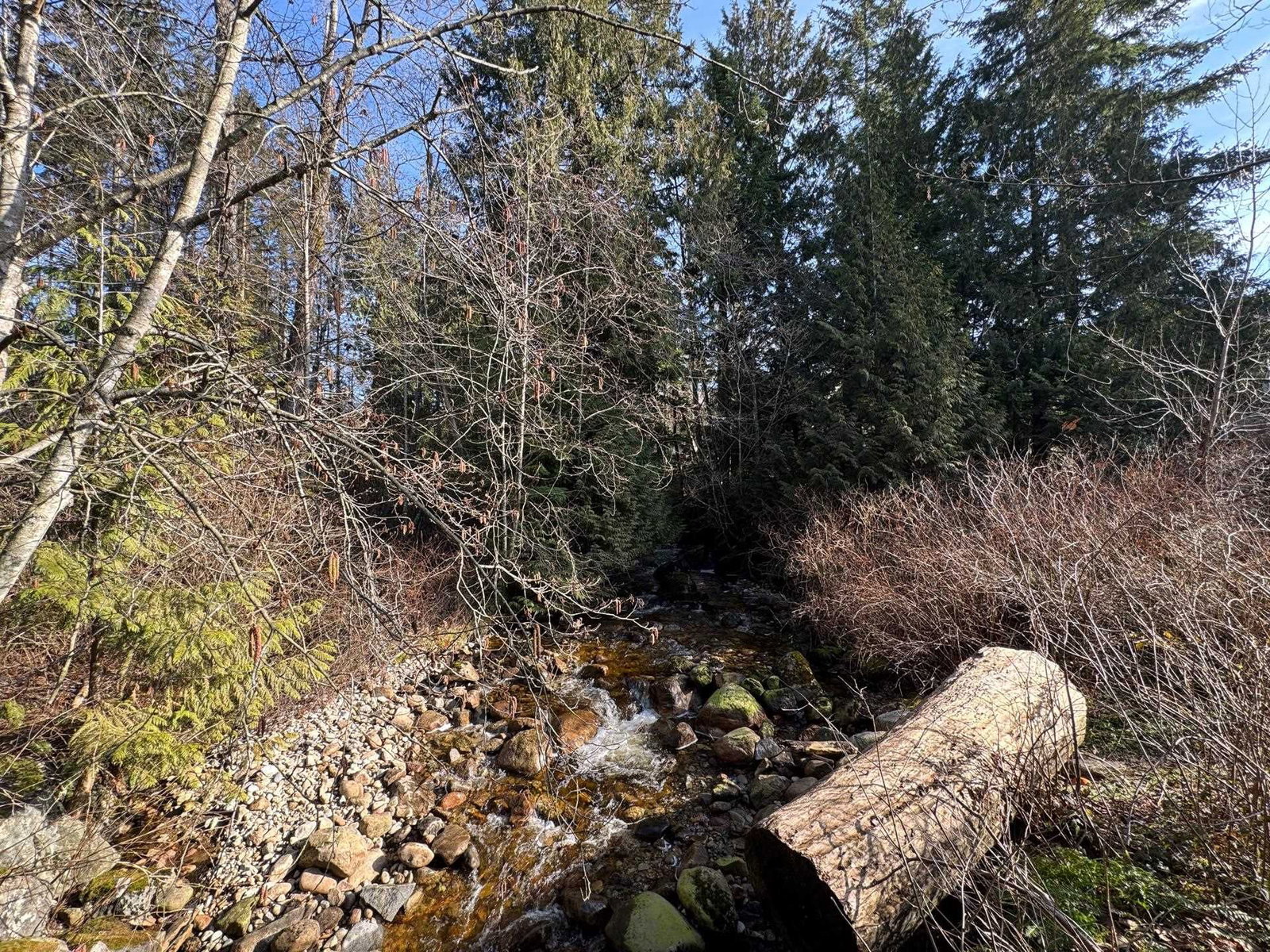 Listing Image 38