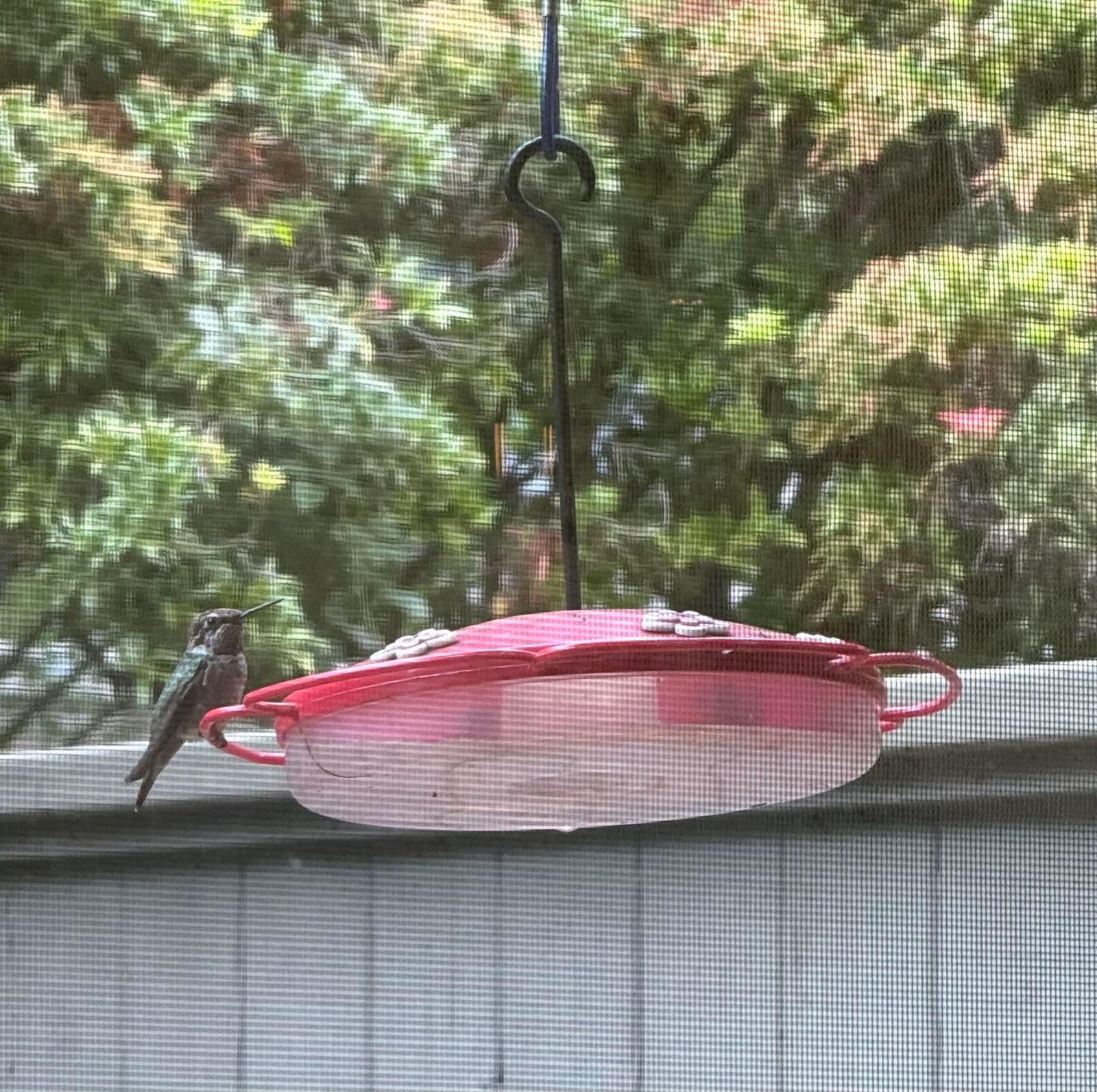 Listing Image 32