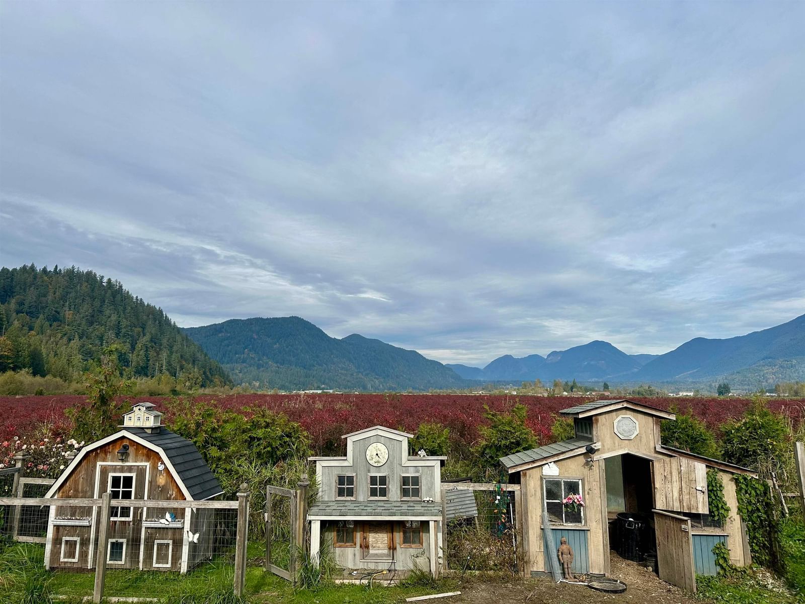 Listing Image 10