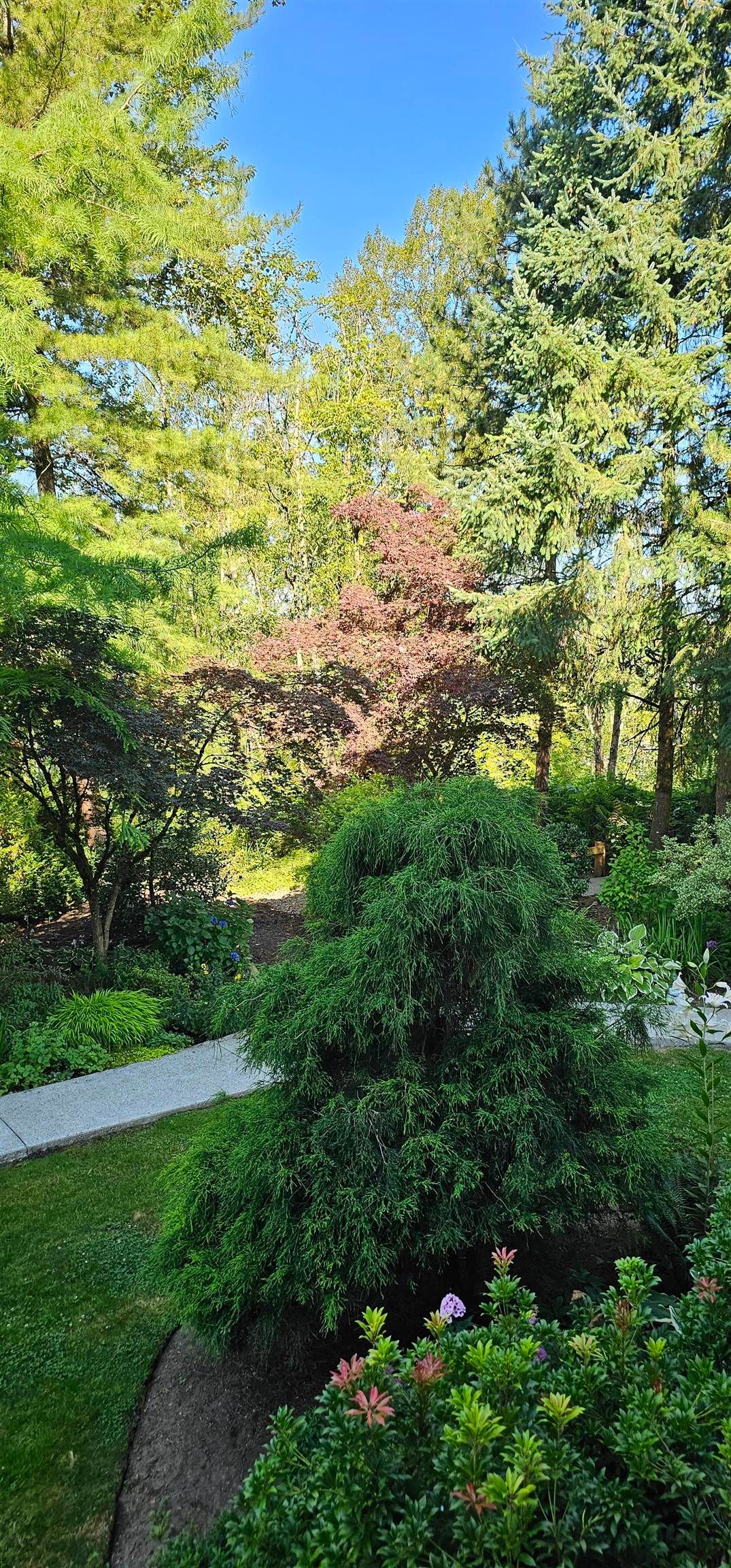 Listing Image 28