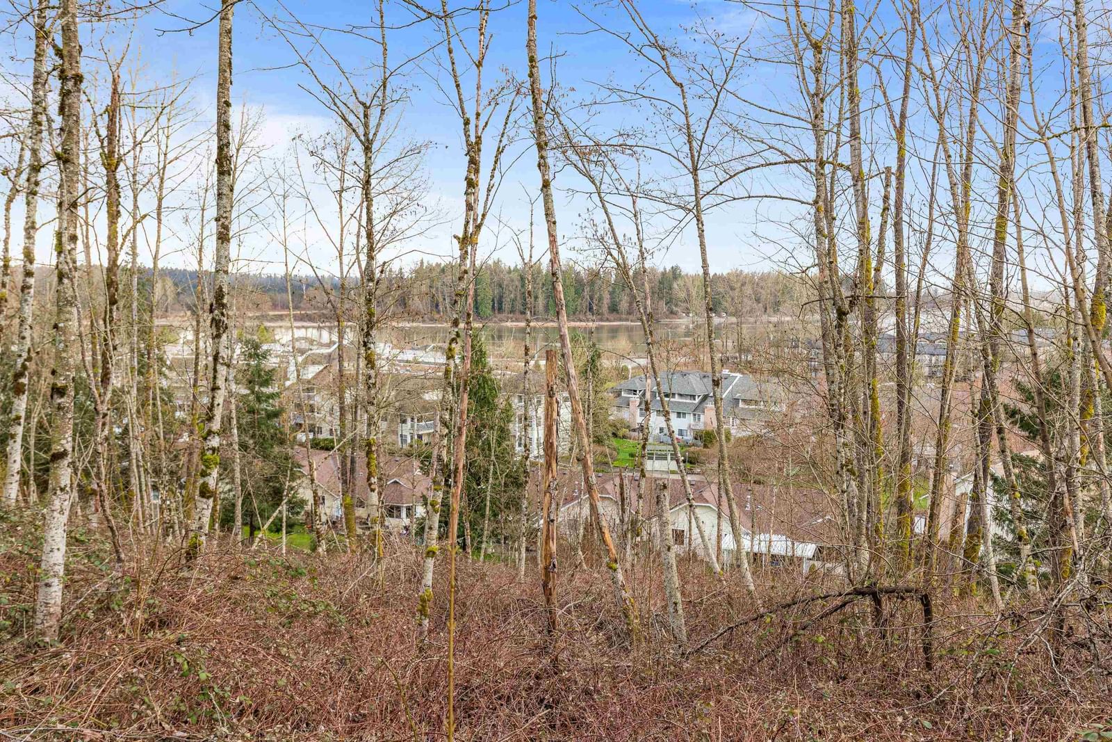 Listing Image 34