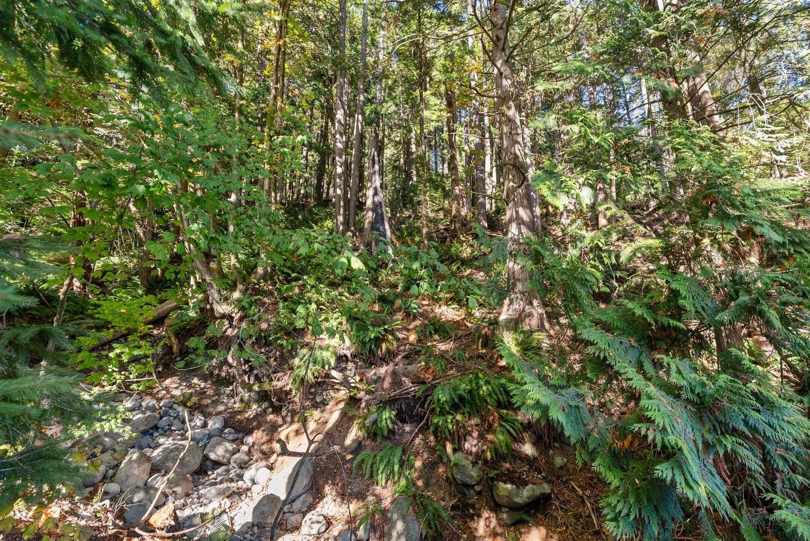 Listing Image 29