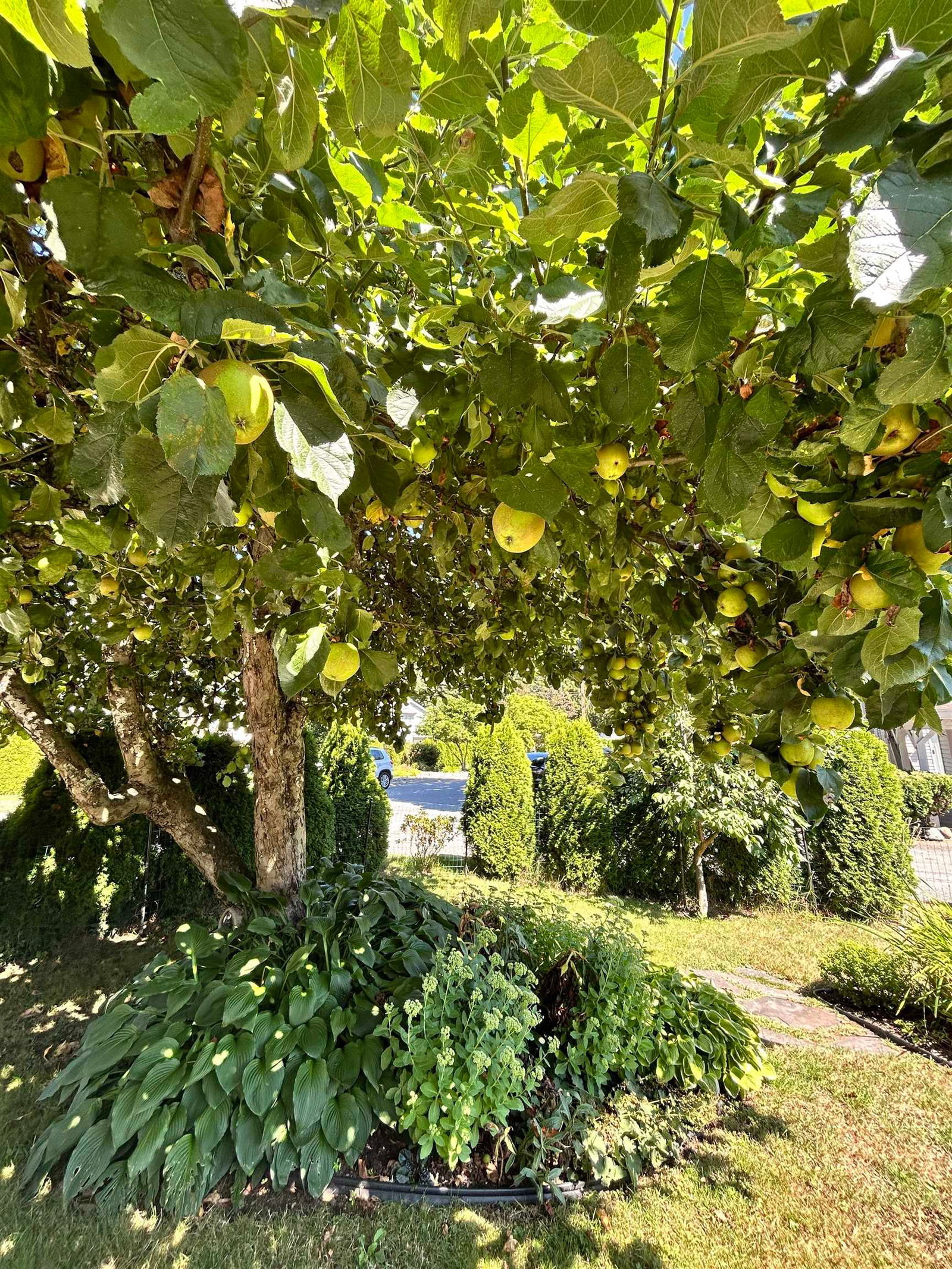 Listing Image 14