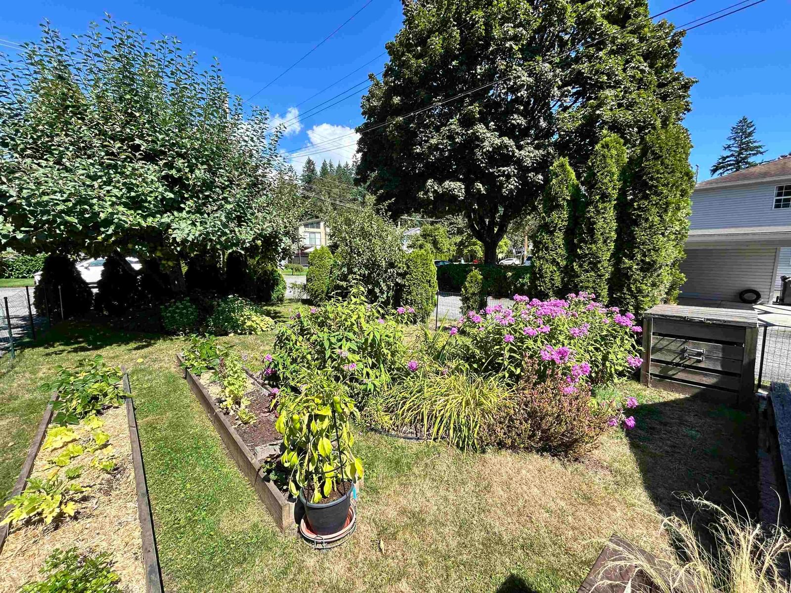 Listing Image 16
